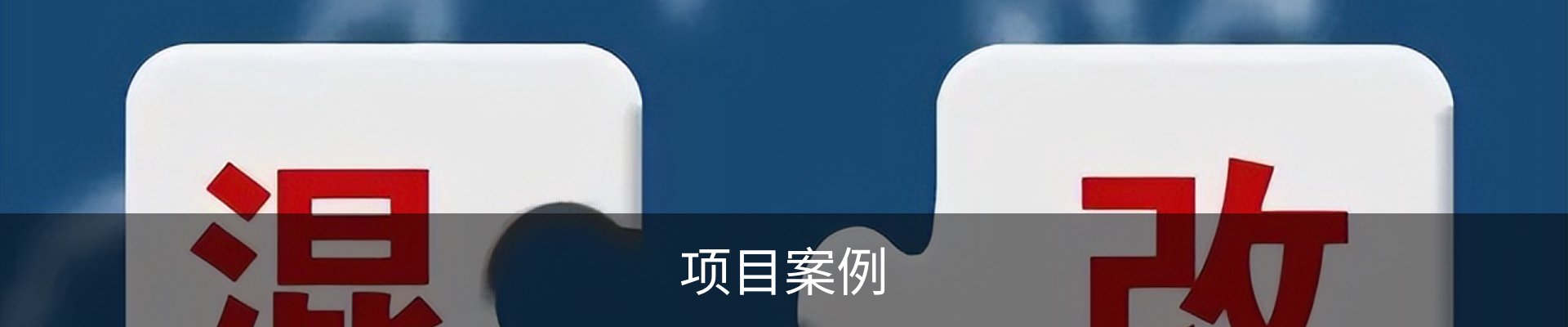 项目案例